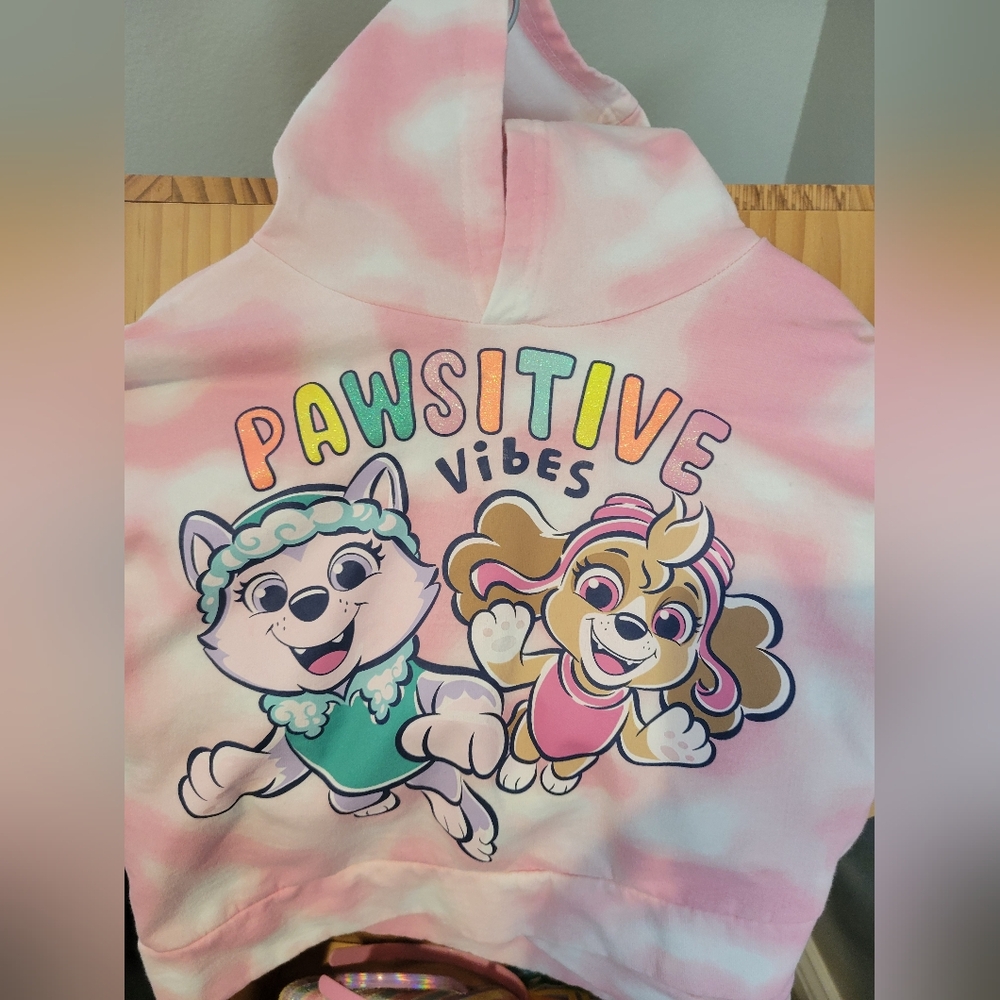 Paw Patrol Hoodie Sweater - Picture 6 of 8
